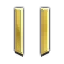 ( 10 Seviye ) Enf Gold